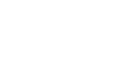 Bolt Branding